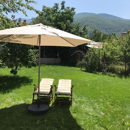 Guest House Vergie 사파레바바냐 외부 사진