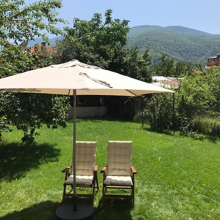 Guest House Vergie 사파레바바냐 외부 사진