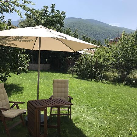 Guest House Vergie 사파레바바냐 외부 사진