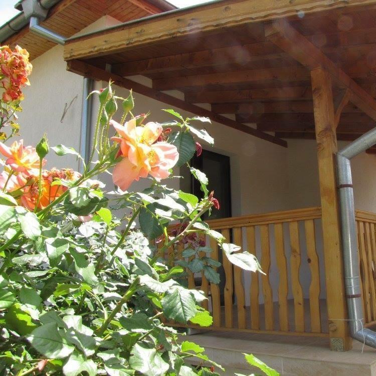Guest House Vergie 사파레바바냐 외부 사진